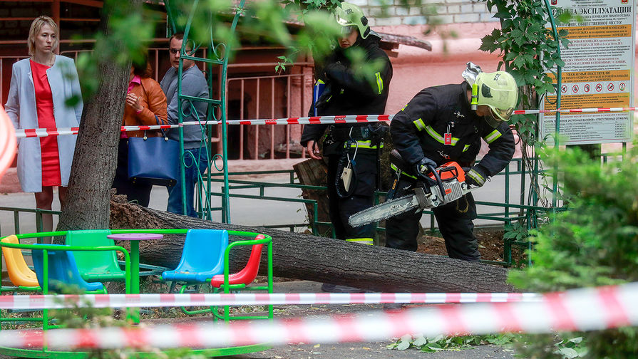 Сотрудники экстренных служб на месте падения дерева на ребенка на детской площадке в Гольяновском проезде Москве, 4 июля 2019 года