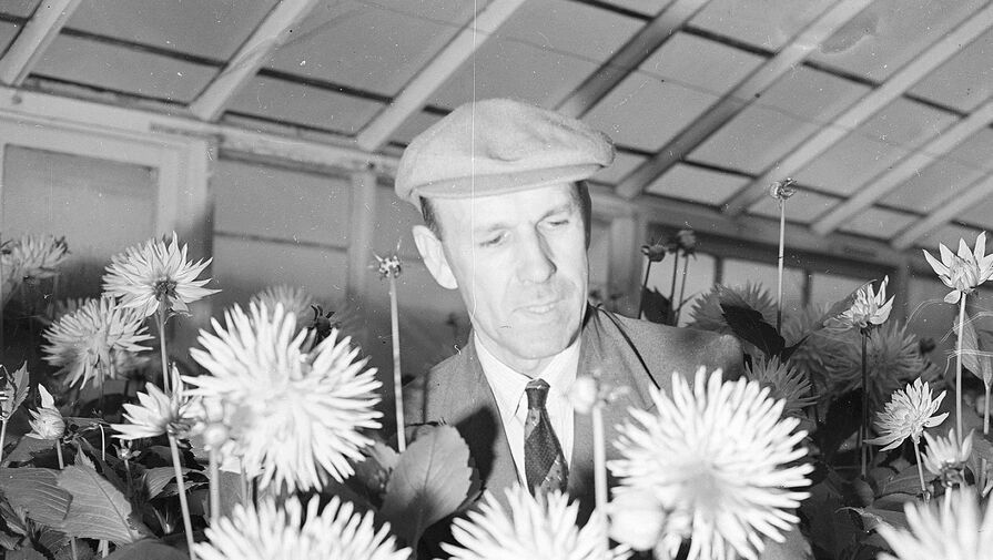 На 90-м году жизни скончался звезда Полицейской академии Джордж Р. Робертсон