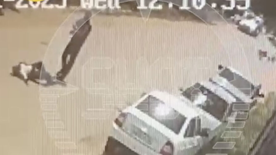 Видео с моментом убийства главы дагестанского села появилось в сети