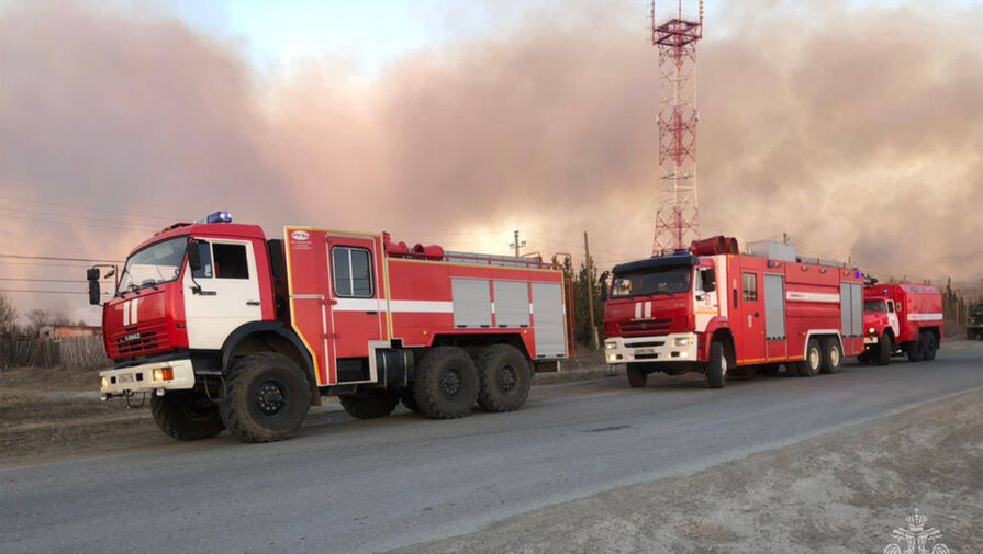 Кремль: глава МЧС и губернатор Свердловской области доложили Путину о ситуации с пожарами