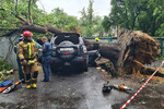 Во время урагана в Москве дерево упало во дворе на внедорожник Mitsubishi, в котором находился водитель, 20 июня 2024 года