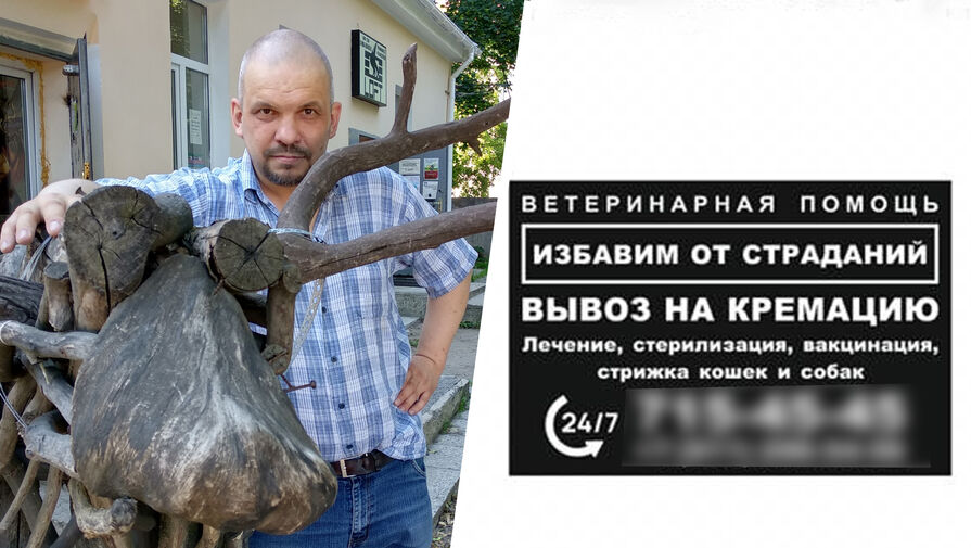 Директор приюта: после обнаружения воскресшей собаки ветеринара-живодера подозревают в неисполнении обязательств