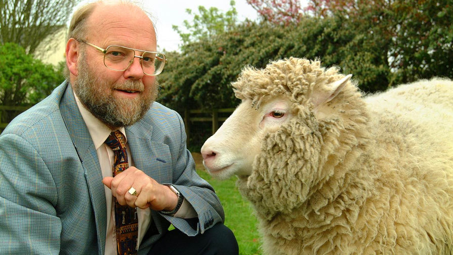 Британский биолог Ян Вилмут и овечка Долли