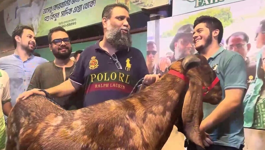 Массовые протесты студентов в Бангладеш начались из-за козы, купленной сыном чиновника