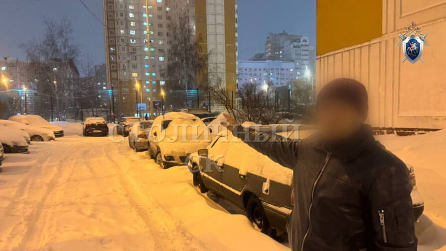 Чистка снега с автомобиля обернулась для россиянки изнасилованием