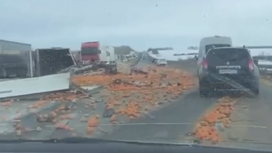 В Челябинской области перевернулась фура, из-за чего на трассу высыпались сотни мандаринов