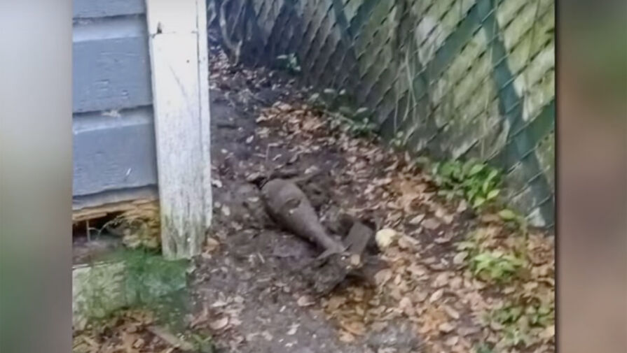 В США собака нашла бомбу во дворе дома