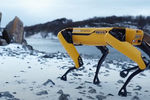 Робот Spot производства компании Boston Dynamics