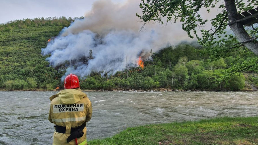 Лесные пожары стали причиной эвакуации в Воронежской области
