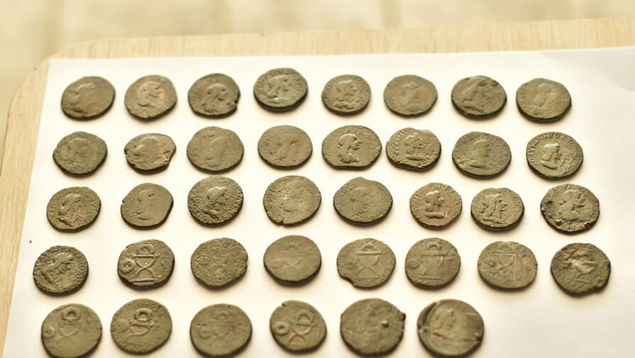 В Краснодарском крае обнаружили клад монет Боспорского царства