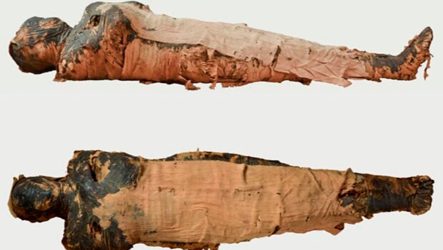 Ученые раскрыли тайну первых мумий в Древнем Египте