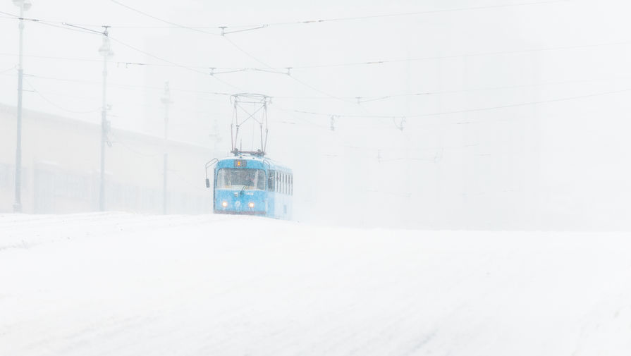 До 10С мороза и метель прогнозируют синоптики 11 января в Москве