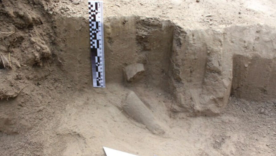 В Якутии обнаружили останки мамонта и носорога, разделанных древними людьми
