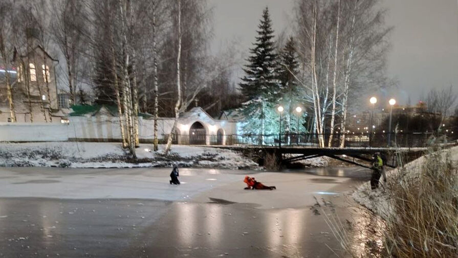 Женщина провалилась под лед в Петербурге