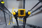 Робот Spot производства компании Boston Dynamics