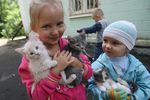 Дети беженцев из Луганской области