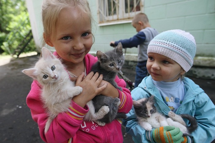 Дети беженцев из&nbsp;Луганской области