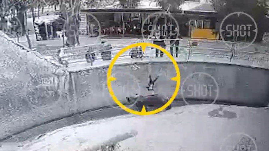 Опубликовано видео того, как мать бросает дочь в вольер к медведю