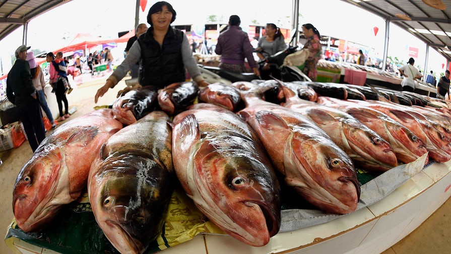Китай начал ограничивать импорт российской рыбы из-за следов COVID-19