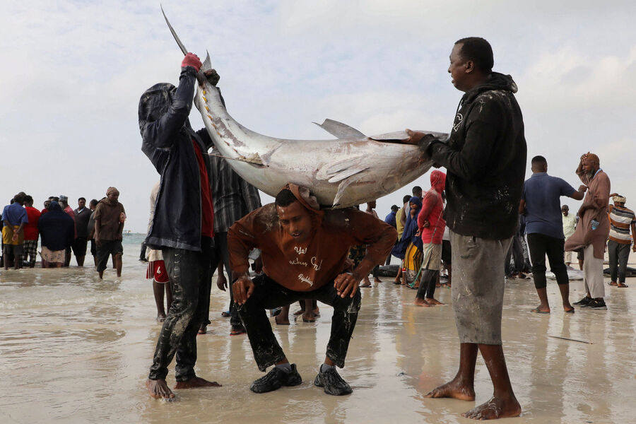 Сомалийские торговцы с&nbsp;пойманной рыбой на&nbsp;пляже Лиидо на&nbsp;берегу Индийского океана, Могадишо, Сомали, 1&nbsp;декабря 2025&nbsp;года
