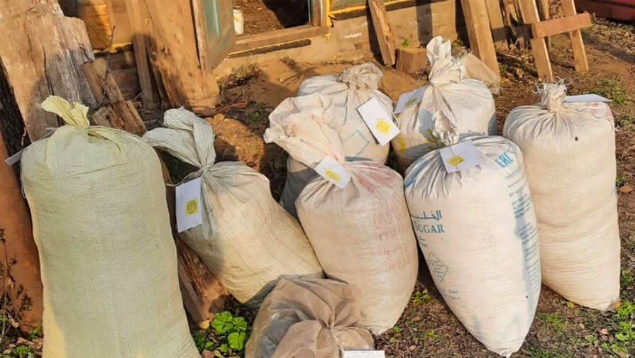 В Еврейской автономной области у пастуха нашли 65 килограммов марихуаны