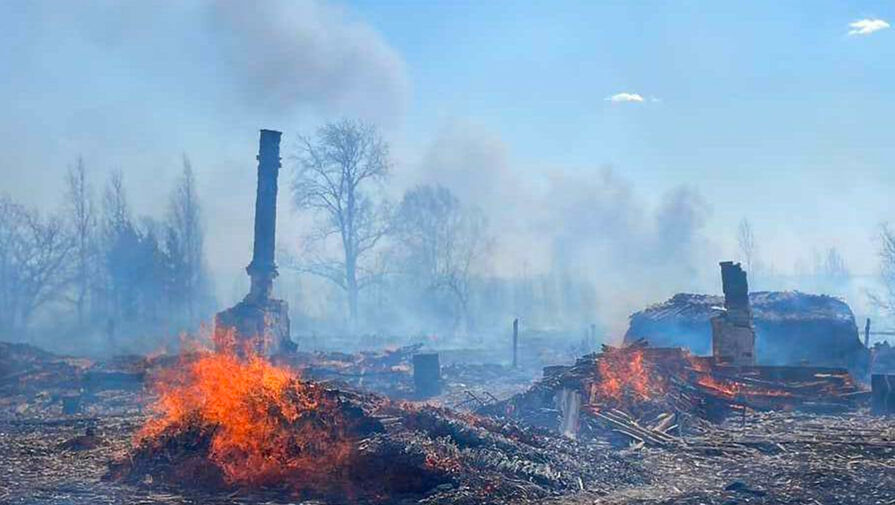 Площадь лесных пожаров в Свердловской области выросла до 54 тыс. га
