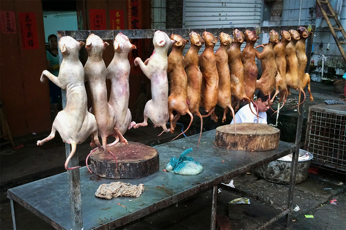 Освежеванные собачьи туши на&nbsp;рынке во время фестиваля собачьего мяса в&nbsp;Китае