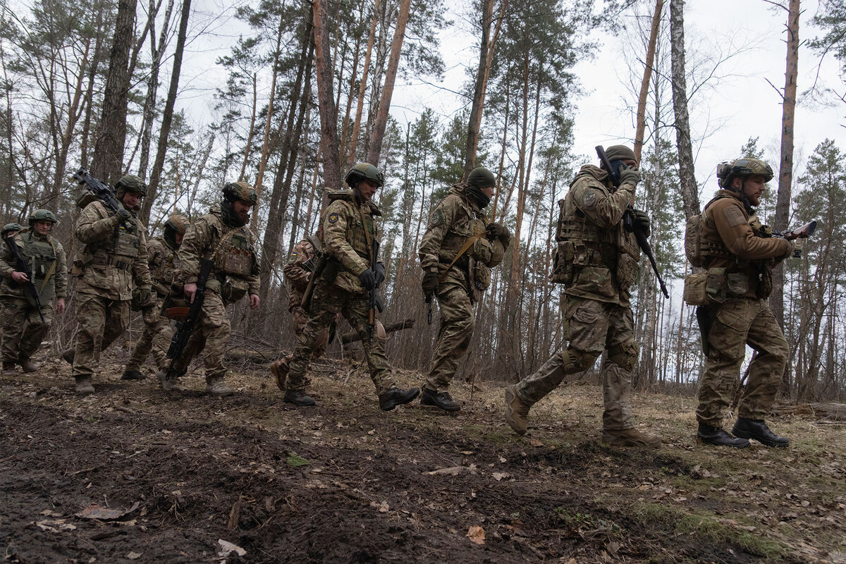 В Крыму полиция проверяет видеоролик с исполнением песни украинских националистов — РТ на русском