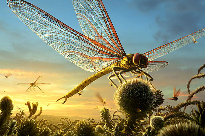 Ученые доказали, что 300 млн лет назад жили также и мелкие насекомые