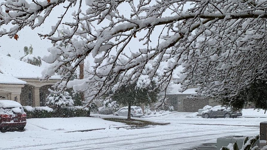 Снег в&nbsp;окрестностях Лас-Вегаса, 22 февраля 2019 года
