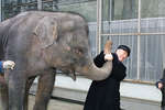 Владимир Жириновский со слоном, 2003 год