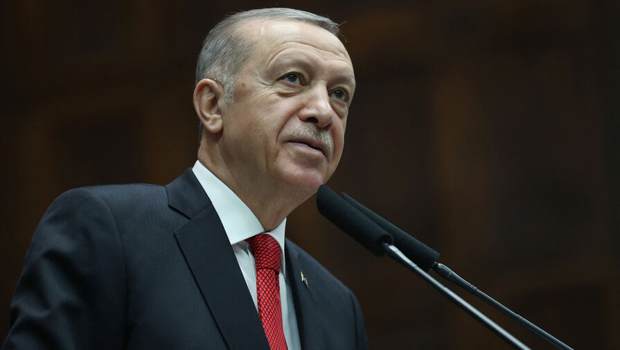 Эрдоган допустил проведение наземной операции в Сирии и Ираке после воздушной