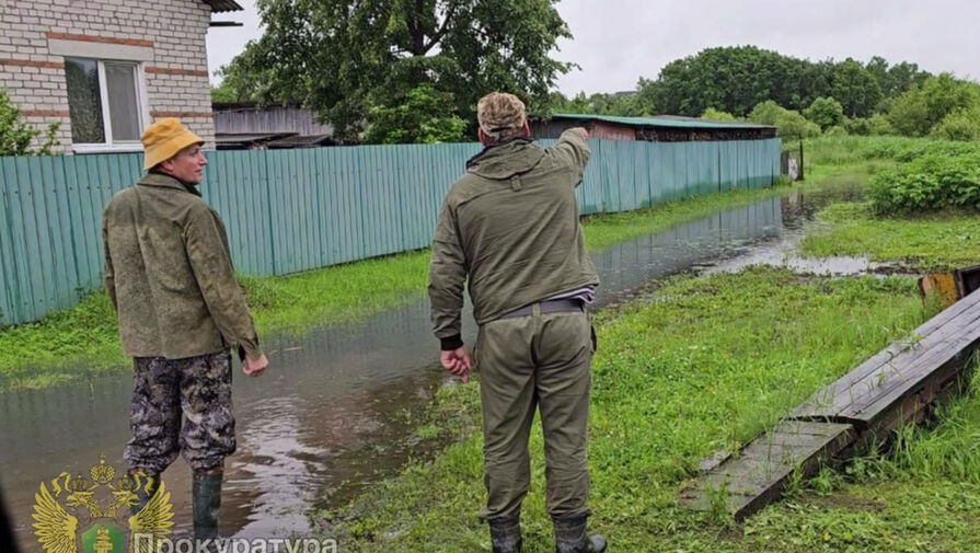 В Лесозаводском округе Приморья оказались затоплены около 50 приусадебных участков