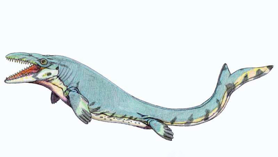В Техасе обнаружили десятиметровую доисторическую ящерицу, родственника варанов