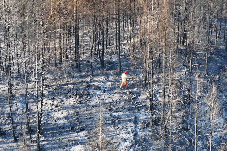 Свеча на могиле, сварка и поджигатели: почему в Турции разгорелись пожары и угрожают ли они туристам