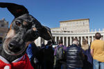 Прихожане на&nbsp;площади Святого Петра в&nbsp;Ватикане в&nbsp;ожидании папы Римского, 16 февраля 2020 года