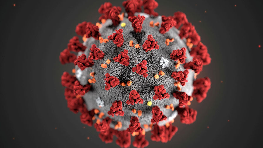Иллюстрация коронавируса (2019-nCoV), созданная Центром по контролю и профилактике заболеваний, 29 января 2020 года