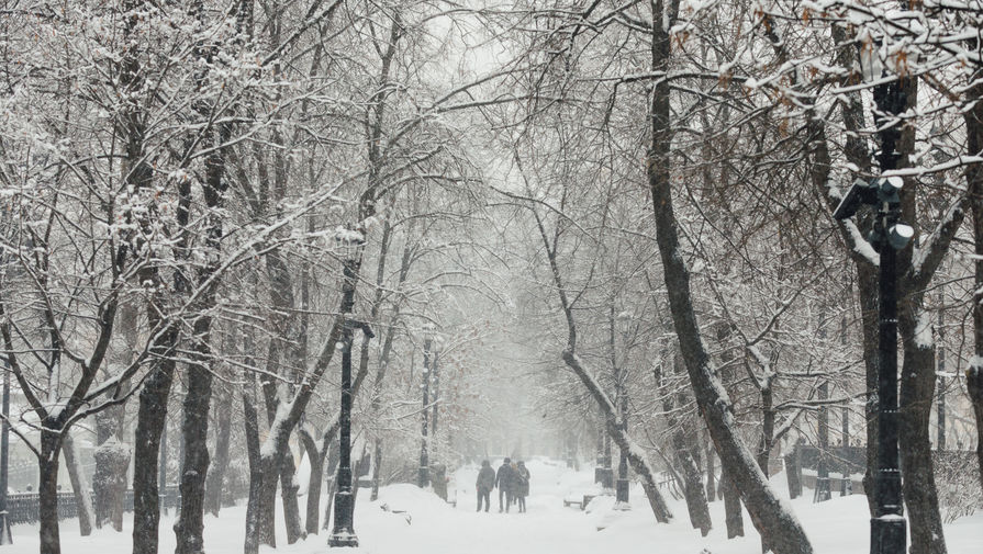 Последствия снегопада в&nbsp;Москве, 4 февраля 2018 года