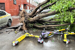 Упавшее дерево на самокаты во время грозы, 20 июня 2024 года
