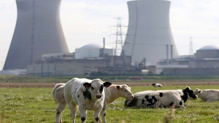 "Нужны 100 энергоблоков и €1 трлн". Сможет ли Европа заменить российский газ атомной энергией