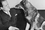 Сергей Михайлович Эйзенштейн с собакой-кинозвездой Рин Тин Тин, Бостон, США, лето 1930 года