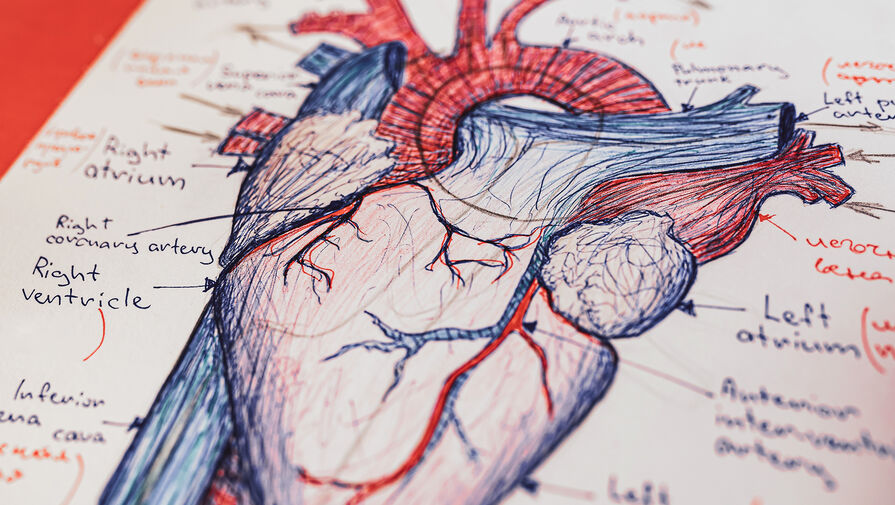 Новое лекарство может заменить трансплантацию при неизлечимой болезни сердца