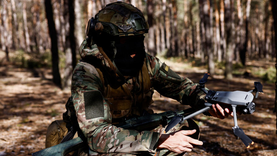 РИА Новости: ВС России уничтожили более 20 украинских военных под Херсоном