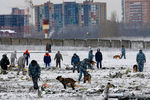 Сотрудники правоохранительных органов со служебными собаками на месте крушения пассажирского самолета Boeing 737-800 авиакомпании Flydubai в аэропорту Ростова-на-Дону