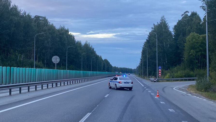 В Екатеринбурге водитель грузовика насмерть сбил 50-летнего мужчину