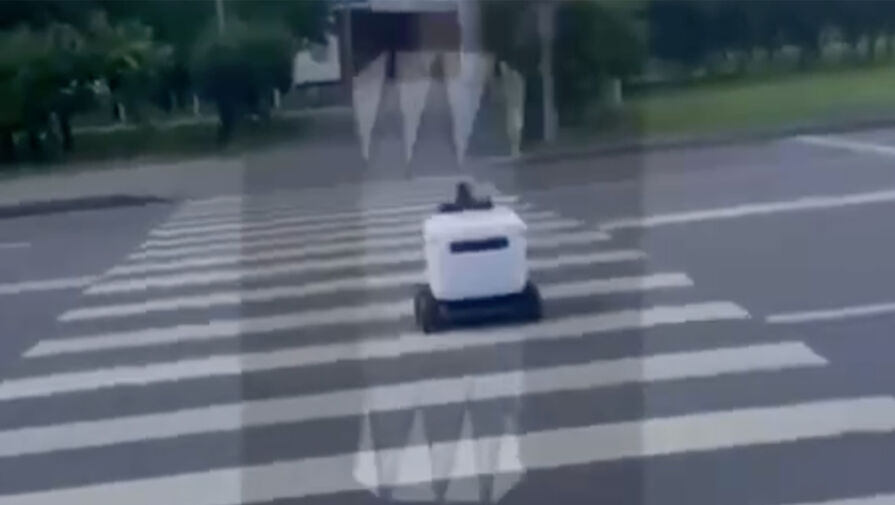 Москвичка заметила робота, который переходил дорогу на красный сигнал светофора