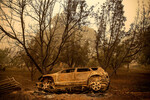 Последствия пожаров в национальном лесу Кламат, штат Калифорния, 1 августа 2022 года