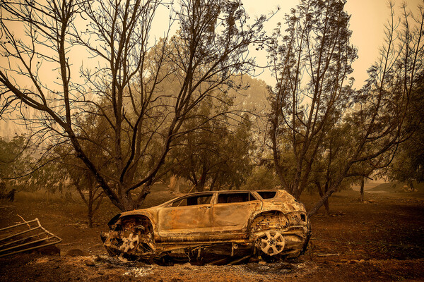 Последствия пожаров в&nbsp;национальном лесу Кламат, штат Калифорния, 1&nbsp;августа 2022&nbsp;года