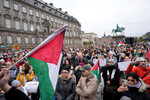 Акция в поддержку Палестины в Копенгагене (Дания), 28 октября 2023 года 