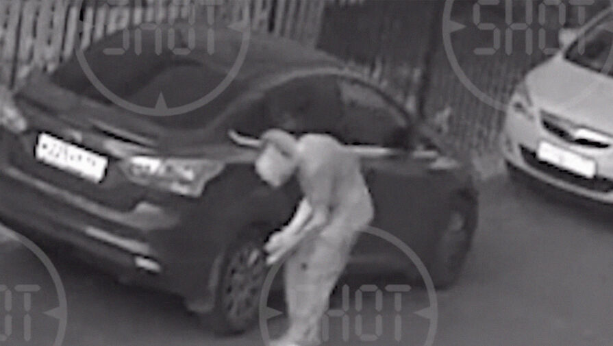 Камера запечатлела длинноволосого мужчину, который проколол шины у 20 авто в Москве